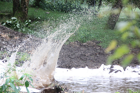 Wildsau Dirt Run 2015