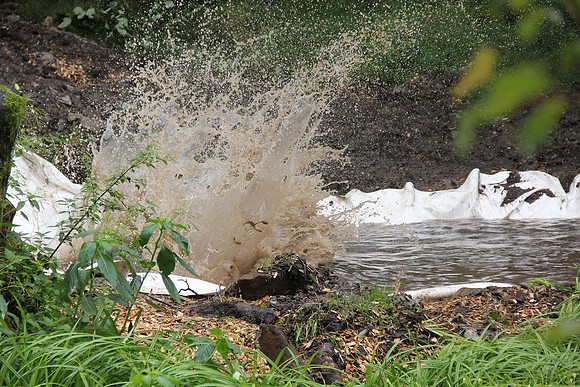 Wildsau Dirt Run 2015