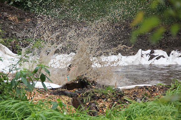 Wildsau Dirt Run 2015