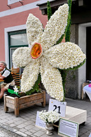 Narzissenfest 2026
