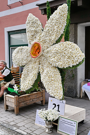 Narzissenfest 2026