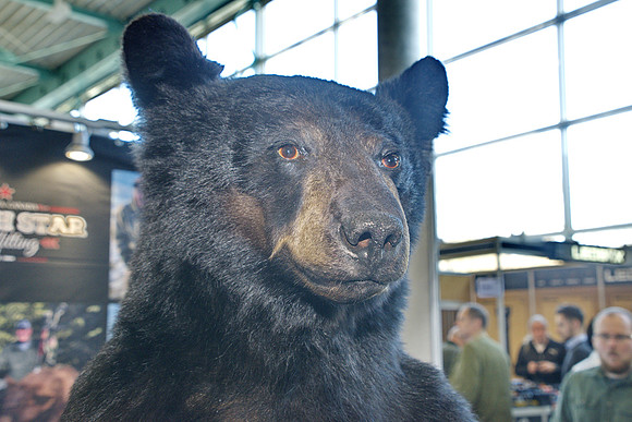 18.02.2023 Die Hohe Jagd & Fischerei Messe