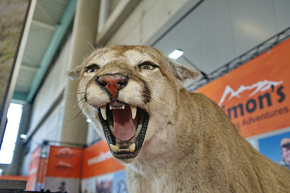 18.02.2023 Die Hohe Jagd & Fischerei Messe