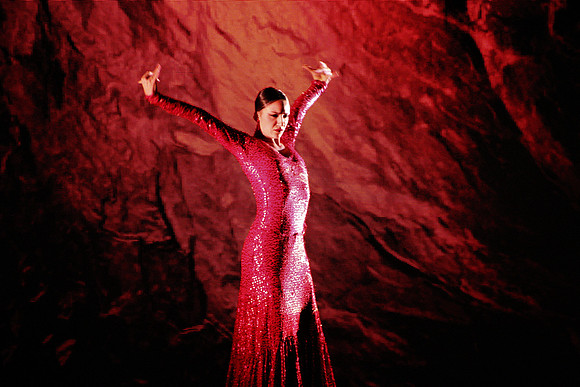 Riverdance aus der Salzburgarena