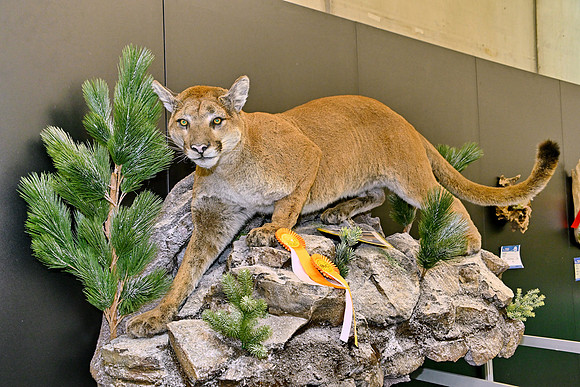 Hohe Jagd & Fischerei