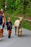 Rifer Dorffest