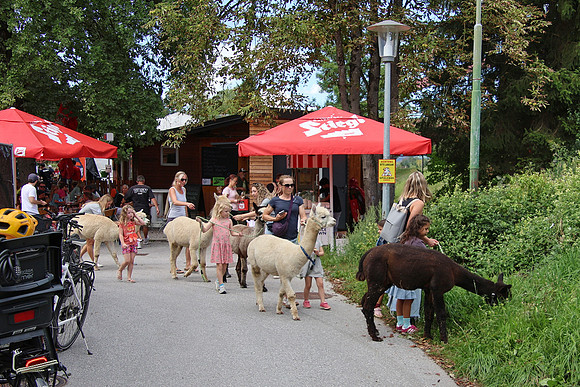 Rifer Dorffest