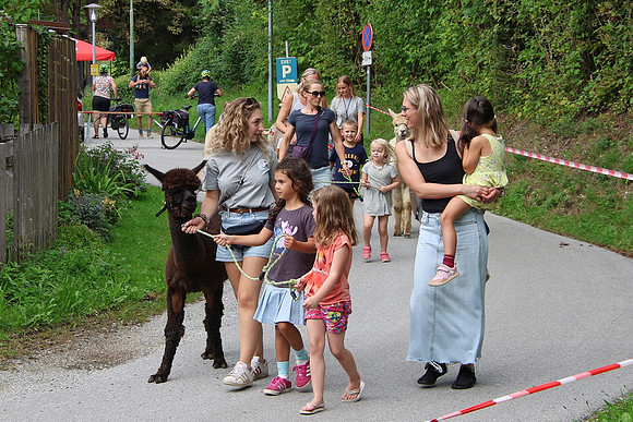 Rifer Dorffest