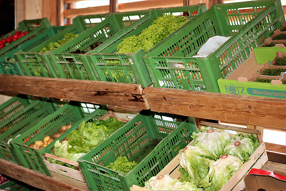 Palmbauernmarkt in Grödig