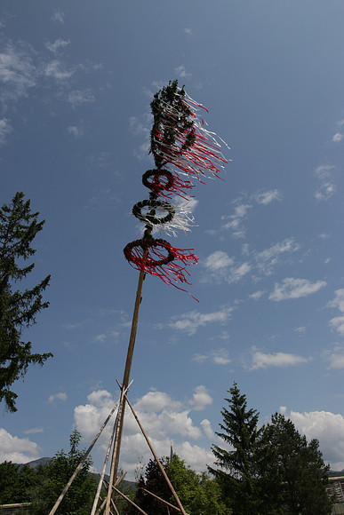 Maibaumaufstellen