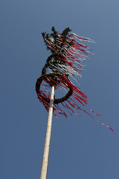 Maibaumaufstellen