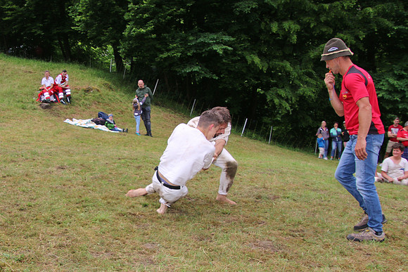 Hogmoa vom Dürrnberg
