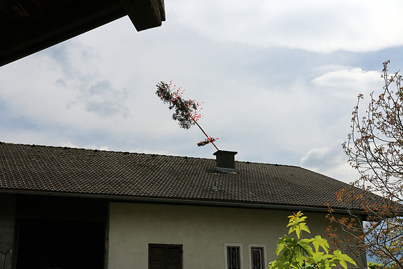 20.05.2023 Bierfichte - Bad Vigaun