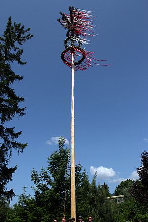 Maibaumaufstellen