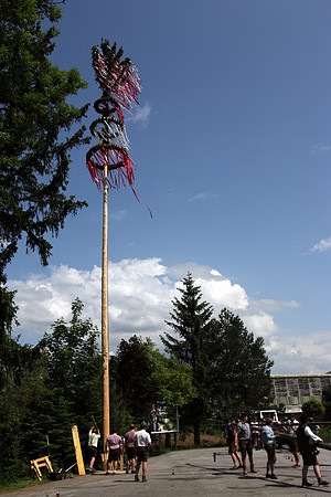 Maibaumaufstellen
