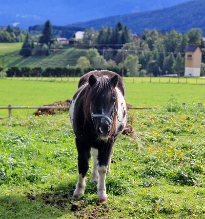 Impressionen Lungau
