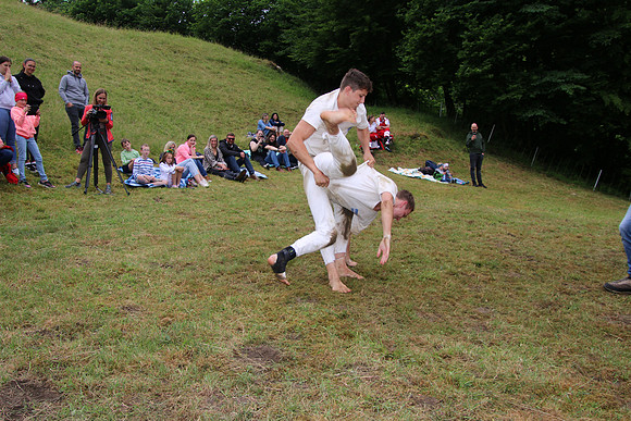 Hogmoa vom Dürrnberg