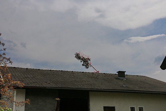 20.05.2023 Bierfichte - Bad Vigaun
