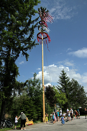 Maibaumaufstellen