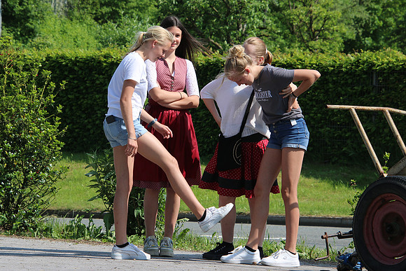 Maibaumaufstellen