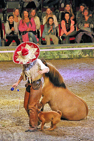 CAVALLUNA