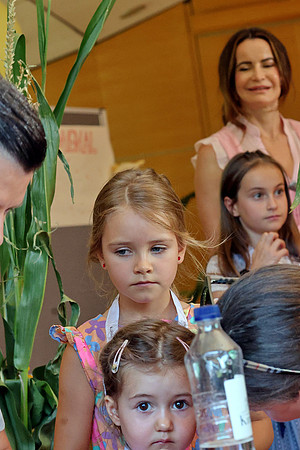 Anifer Kirtag mit Familenprogramm