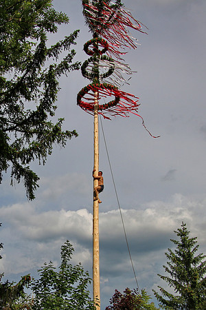 Maibaumaufstellen