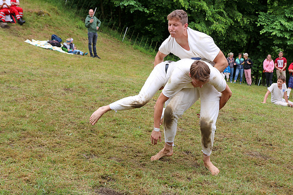 Hogmoa vom Dürrnberg