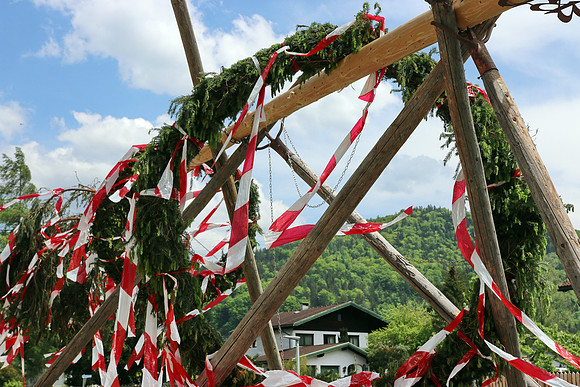 20.05.2023 Bierfichte - Bad Vigaun