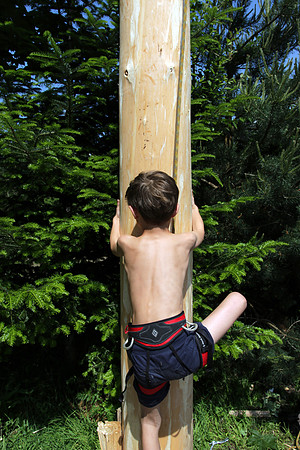 Maibaumaufstellen