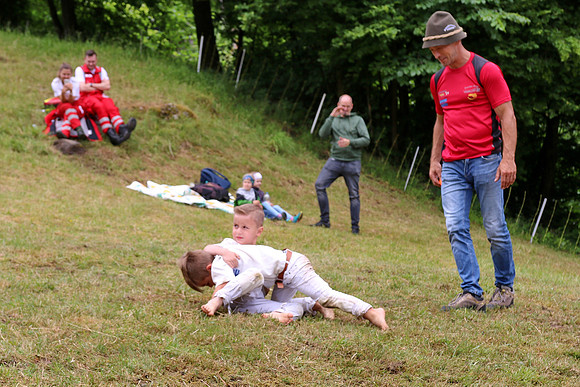 Hogmoa vom Dürrnberg