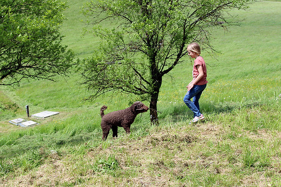 20.05.2023 Bierfichte - Bad Vigaun