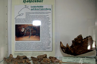 Familientag Unterbergmuseum