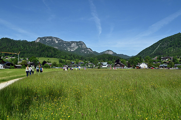 Bootskorso in Altaussee