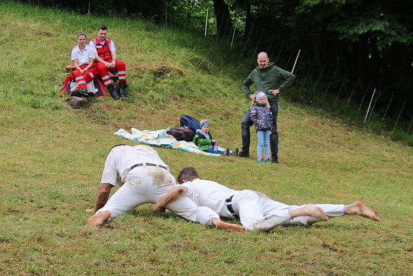 Hogmoa vom Dürrnberg