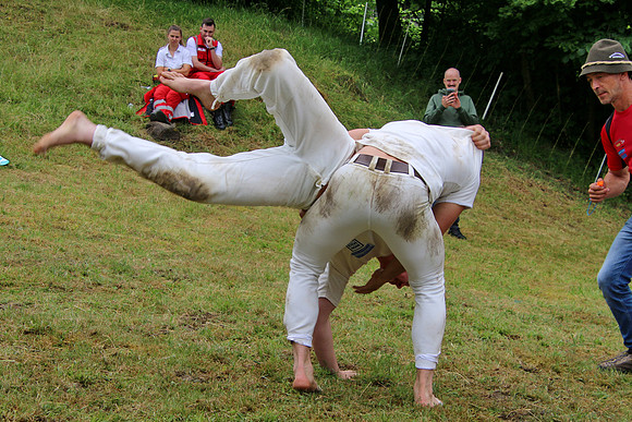 Hogmoa vom Dürrnberg