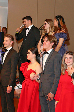 HAK Ball Hallein