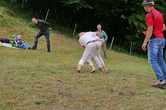Hogmoa vom Dürrnberg