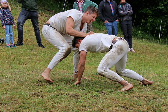 Hogmoa vom Dürrnberg