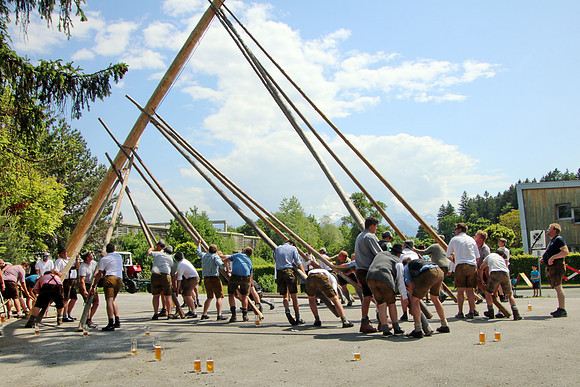 Maibaumaufstellen