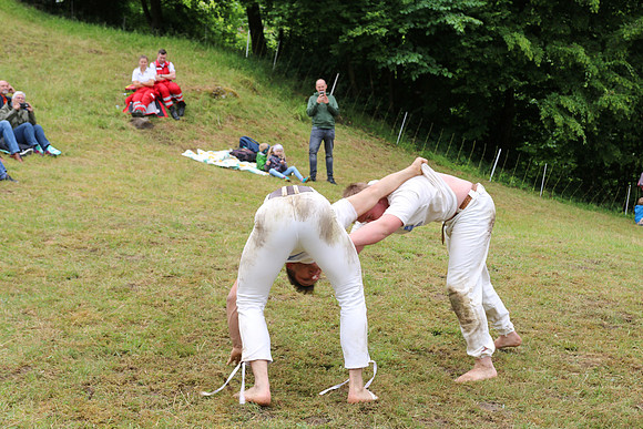Hogmoa vom Dürrnberg
