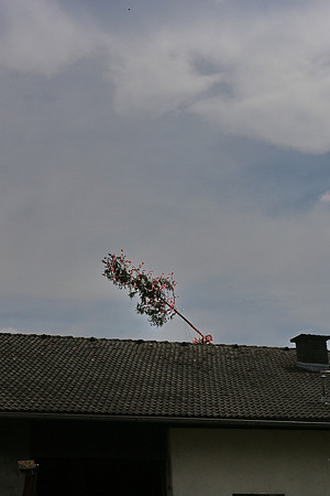 20.05.2023 Bierfichte - Bad Vigaun