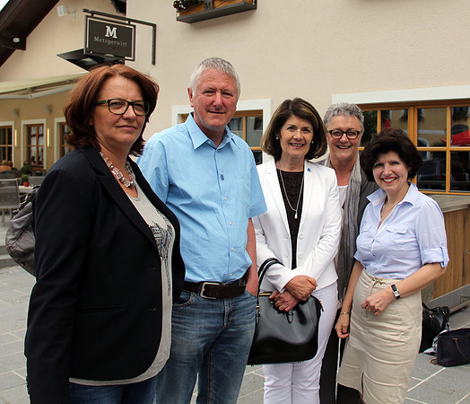 Vereinigung der PflegedirektorInnen Österreichs