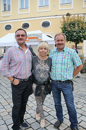 Halleiner Stadtfest 2014