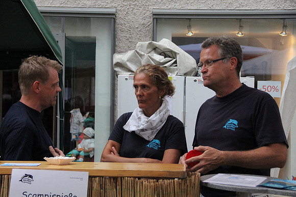 Halleiner Stadtfest 2014