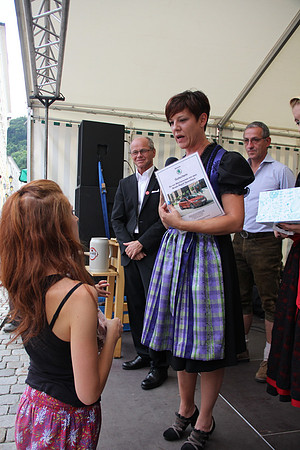 Halleiner Stadtfest 2014