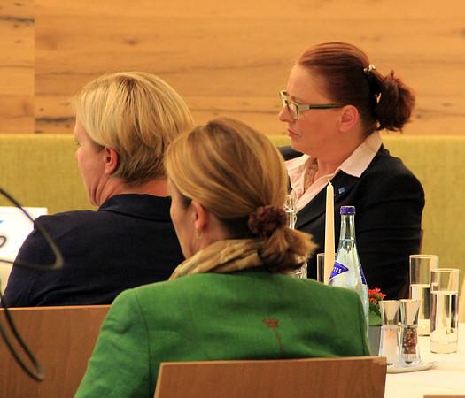 Vereinigung der PflegedirektorInnen Österreichs