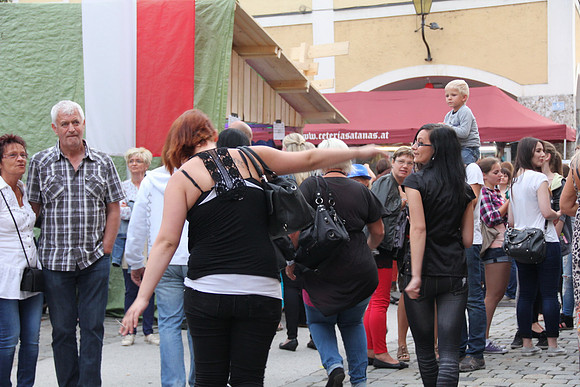 Halleiner Stadtfest 2014