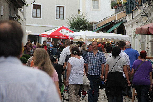 Halleiner Stadtfest 2014