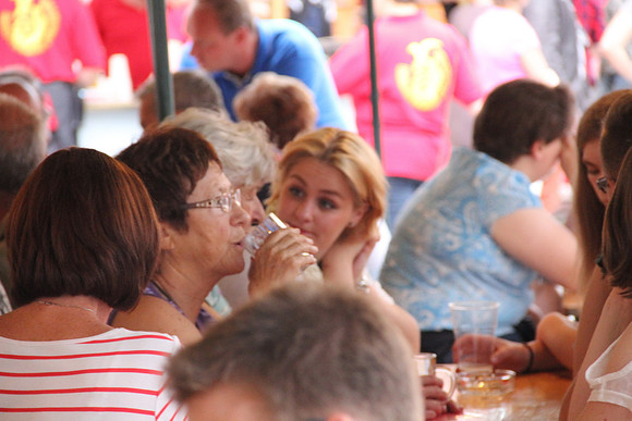 Halleiner Stadtfest 2014